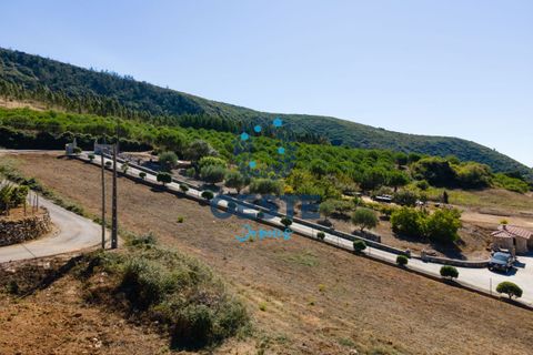 Helårsgrund i Cadaval, Lisbon, Cadaval - € 60.000 | Ref: 2023/0033 - foto 1