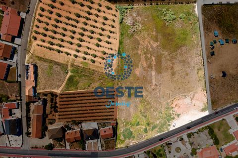 Helårsgrund i Cadaval, Lisbon, Cadaval - € 60.000 | Ref: 2023/0033 - foto 22