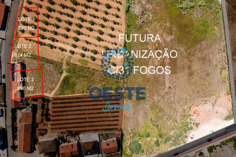 Helårsgrund i Cadaval, Lisbon, Cadaval - € 60.000 | Ref: 2023/0033 - foto 12