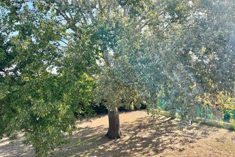 Villa i Cesena, Forli-Cesena, Cesena - € 640.000 | Ref: 2053 - foto 40