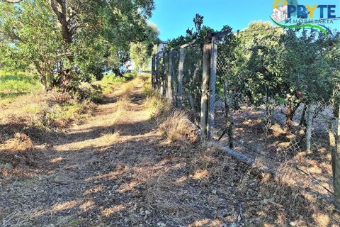 Erhvervsejendom i Cabecudo, Castelo Branco, Cabecudo - € 60.000 | Ref: AS132 - foto 1