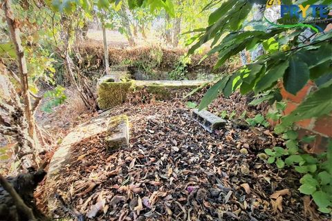 Erhvervsejendom i Cabecudo, Castelo Branco, Cabecudo - € 60.000 | Ref: AS132 - foto 2