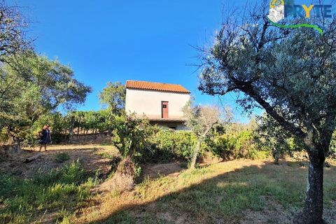 Erhvervsejendom i Cabecudo, Castelo Branco, Cabecudo - € 60.000 | Ref: AS132 - foto 3