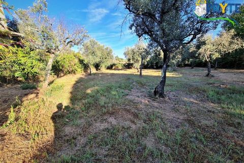 Erhvervsejendom i Cabecudo, Castelo Branco, Cabecudo - € 60.000 | Ref: AS132 - foto 5
