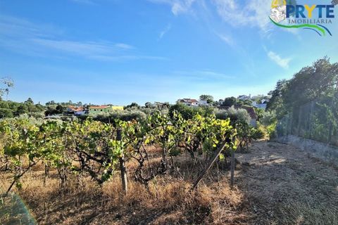 Erhvervsejendom i Cabecudo, Castelo Branco, Cabecudo - € 60.000 | Ref: AS132 - foto 8