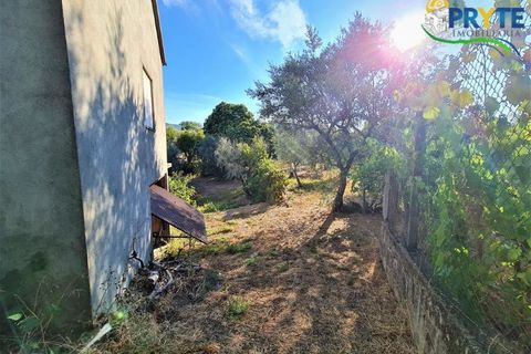 Erhvervsejendom i Cabecudo, Castelo Branco, Cabecudo - € 60.000 | Ref: AS132 - foto 10