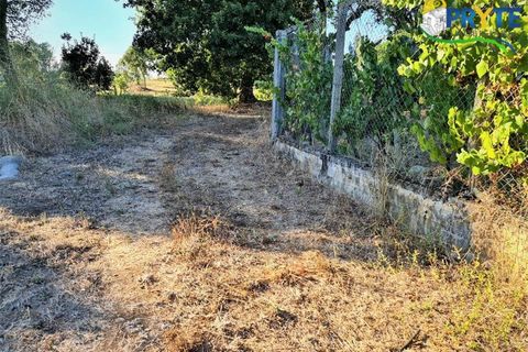 Erhvervsejendom i Cabecudo, Castelo Branco, Cabecudo - € 60.000 | Ref: AS132 - foto 12