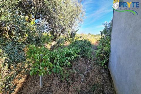 Erhvervsejendom i Cabecudo, Castelo Branco, Cabecudo - € 60.000 | Ref: AS132 - foto 13