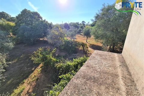 Erhvervsejendom i Cabecudo, Castelo Branco, Cabecudo - € 60.000 | Ref: AS132 - foto 14