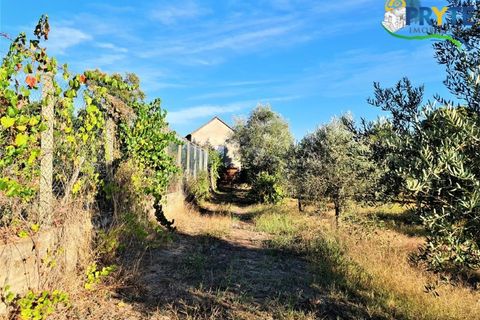 Erhvervsejendom i Cabecudo, Castelo Branco, Cabecudo - € 60.000 | Ref: AS132 - foto 23