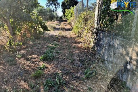 Erhvervsejendom i Cabecudo, Castelo Branco, Cabecudo - € 60.000 | Ref: AS132 - foto 26