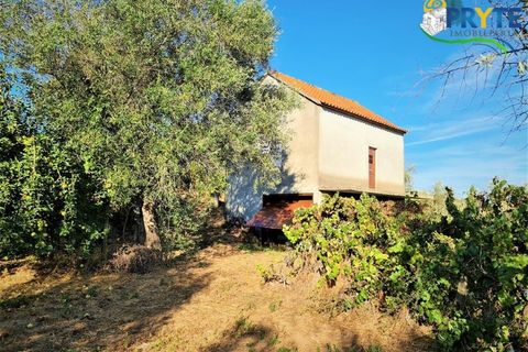 Erhvervsejendom i Cabecudo, Castelo Branco, Cabecudo - € 60.000 | Ref: AS132 - foto 27