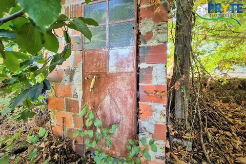 Erhvervsejendom i Cabecudo, Castelo Branco, Cabecudo - € 60.000 | Ref: AS132 - foto 31