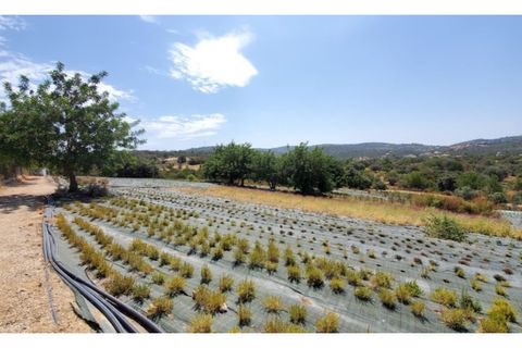 Helårsgrund i Conceicao e Estoi, Faro, Conceicao e Estoi - € 280.000 | Ref: 025220224 - foto 4