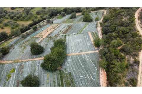 Helårsgrund i Conceicao e Estoi, Faro, Conceicao e Estoi - € 280.000 | Ref: 025220224 - foto 8