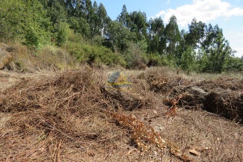 Villa i Ansiao, Leiria, Ansiao - € 37.000 | Ref: ko2479 - foto 16