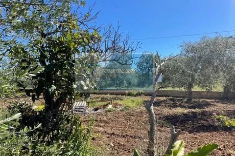 Terra a Melilli, Siracusa, Melilli - € 110.000 | Ref: RIF. BEL TCIT 38 - foto 2