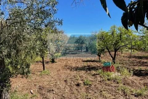 Terra a Melilli, Siracusa, Melilli - € 110.000 | Ref: RIF. BEL TCIT 38 - foto 4