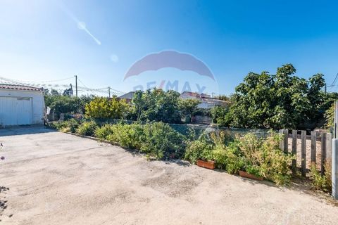 Terra a Quinta do Conde, Setubal, Quinta do Conde - € 78.000 | Ref: 124151054-46 - foto 21