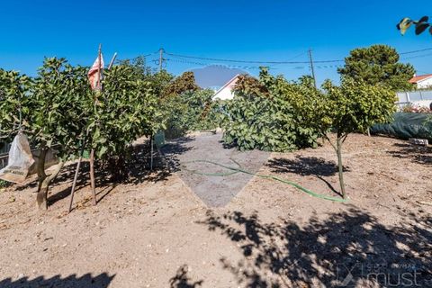 Terra a Quinta do Conde, Setubal, Quinta do Conde - € 78.000 | Ref: 124151054-46 - foto 22