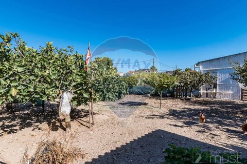 Terra a Quinta do Conde, Setubal, Quinta do Conde - € 78.000 | Ref: 124151054-46 - foto 23