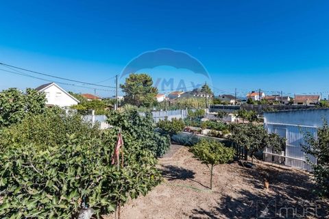 Terra a Quinta do Conde, Setubal, Quinta do Conde - € 78.000 | Ref: 124151054-46 - foto 24