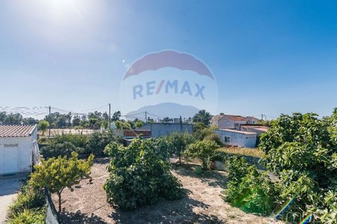 Terra a Quinta do Conde, Setubal, Quinta do Conde - € 78.000 | Ref: 124151054-46 - foto 26