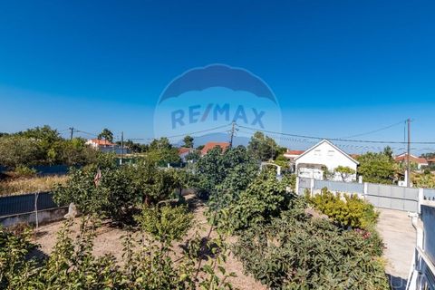 Terra a Quinta do Conde, Setubal, Quinta do Conde - € 78.000 | Ref: 124151054-46 - foto 27