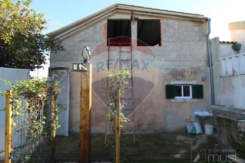 Helårsgrund i Sintra, Lisbon, Sintra - € 90.000 | Ref: 124661015-71 - foto 3