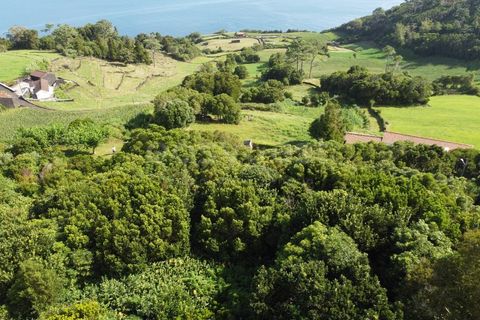 Tomt i Prainha, Pico, Prainha - € 60 000 | Ref: AZ93340MK - foto 4