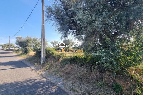 Helårsgrund i Castelo Branco, Castelo Branco, Castelo Branco - € 18.000 | Ref: 2577 - foto 1