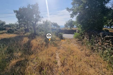 Helårsgrund i Castelo Branco, Castelo Branco, Castelo Branco - € 18.000 | Ref: 2577 - foto 4