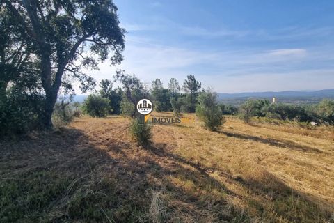 Helårsgrund i Castelo Branco, Castelo Branco, Castelo Branco - € 18.000 | Ref: 2577 - foto 5
