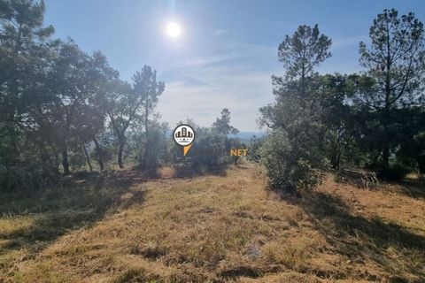 Helårsgrund i Castelo Branco, Castelo Branco, Castelo Branco - € 18.000 | Ref: 2577 - foto 6