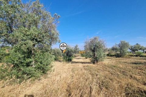Helårsgrund i Castelo Branco, Castelo Branco, Castelo Branco - € 18.000 | Ref: 2577 - foto 7