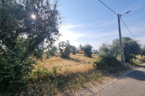 Helårsgrund i Castelo Branco, Castelo Branco, Castelo Branco - € 18.000 | Ref: 2577 - foto 8