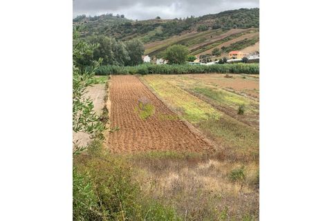 Helårsgrund i Alenquer, Lisbon, Alenquer - € 30.000 | Ref: 1604 - foto 3