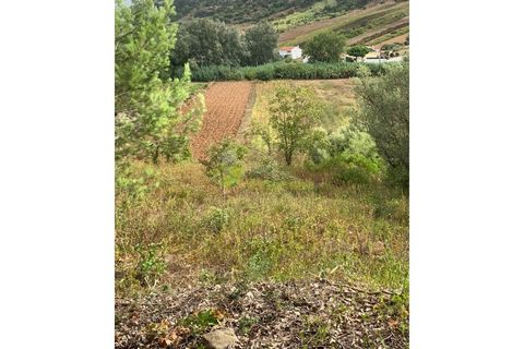Helårsgrund i Alenquer, Lisbon, Alenquer - € 30.000 | Ref: 1604 - foto 5