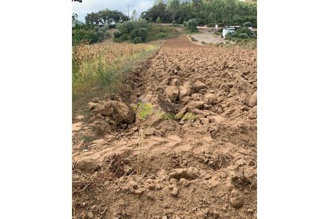 Helårsgrund i Alenquer, Lisbon, Alenquer - € 30.000 | Ref: 1604 - foto 8
