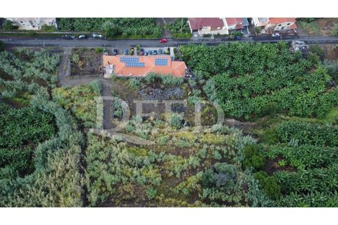 Helårsgrund i Calheta, Madeira, Calheta - € 1.200.000 | Ref: DEED/741 - foto 4