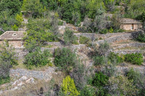 Landejendom i Fornalutx, Mallorca - foto 1