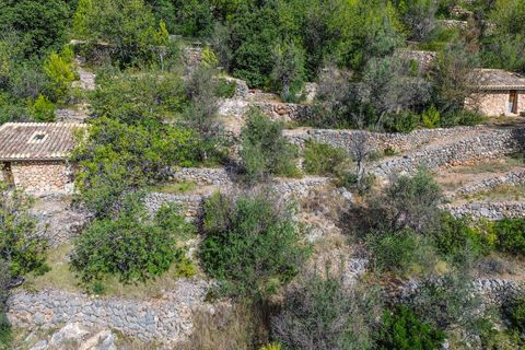 Landejendom i Fornalutx, Mallorca - foto 2