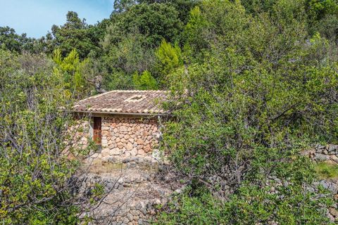 Landejendom i Fornalutx, Mallorca - foto 3