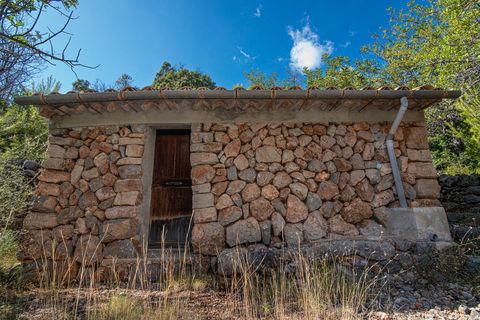 Landejendom i Fornalutx, Mallorca - foto 4