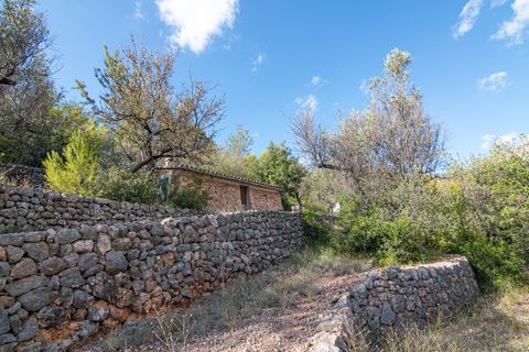 Landejendom i Fornalutx, Mallorca - foto 5