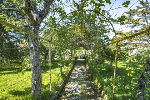 Villa a Pravia, Asturias, Pravia - € 1.240.000 | Ref: QPE-12/10606 - foto 22