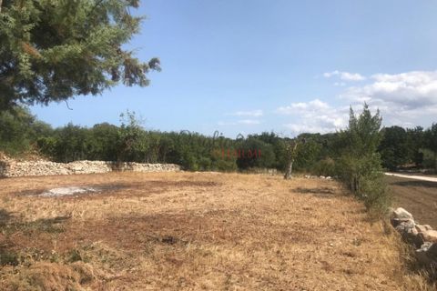 Landejendom i Ostuni, Brindisi, Ostuni - € 165.000 | Ref: 238 - foto 8