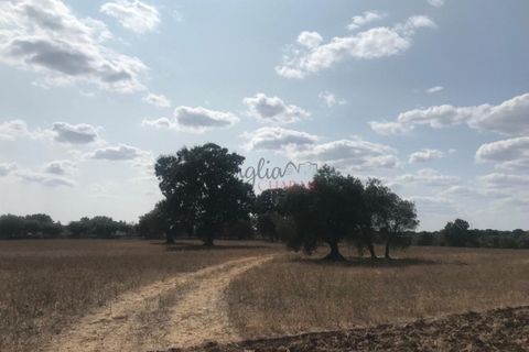 Landejendom i Ostuni, Brindisi, Ostuni - € 165.000 | Ref: 238 - foto 4