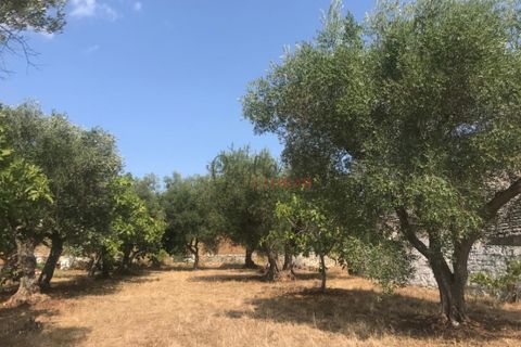 Landejendom i Ostuni, Brindisi, Ostuni - € 165.000 | Ref: 238 - foto 14