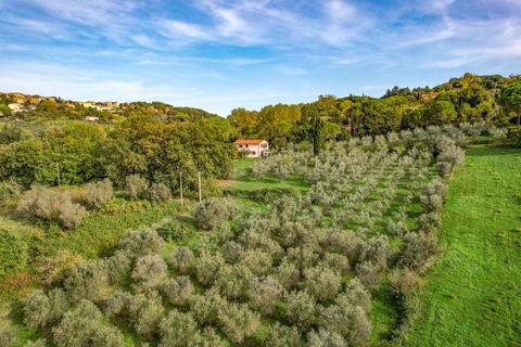Villa a Montescudaio, Pisa, Montescudaio - € 890.000 | Ref: TOSBS 2040D - foto 17